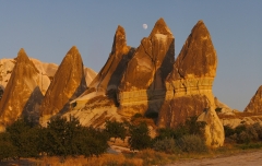 landscape7-thumb