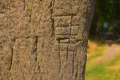 MG_4698-thumb