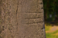 MG_4699-thumb