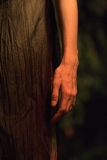 f223730864-thumb