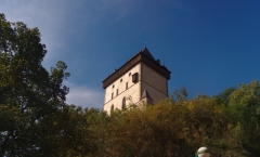 landscape2-thumb